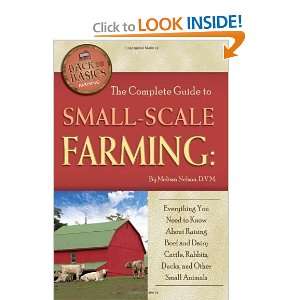  Scale Farming Everything You Need to Know About Raising Beef Cattle 