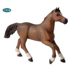  Papo 51075 Anglo Arab Horse Toys & Games