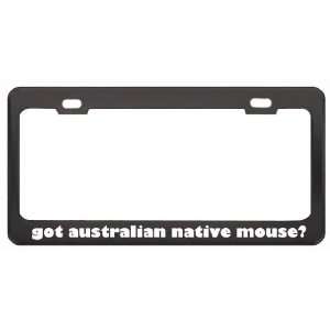 Got Australian Native Mouse? Animals Pets Black Metal License Plate 