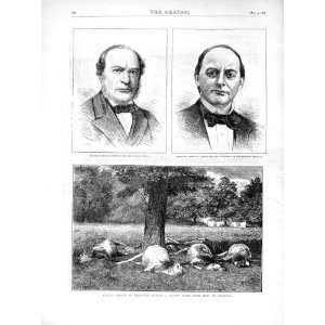  1872 Peter Armenis Tejada Cattle Lightning Bury Edmunds 