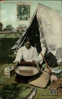 CANADA Canadian Indians cleaning Rice c1910 Postcard  