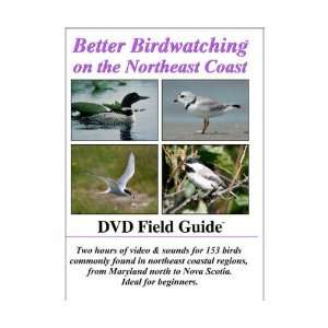   hours of Video and Sound for about 150 Bird Species 