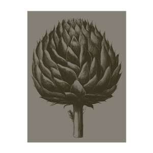  Artichoke (grey espresso) Giclee Poster Print, 22x28