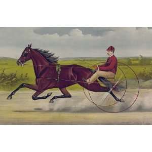   Horse Racing and Trotting Harry Wilkes Vintage Image