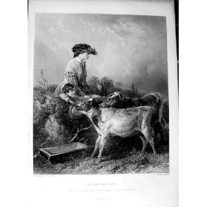  Art Journal 1869 Woman Little Boy Cows Calf Pasture