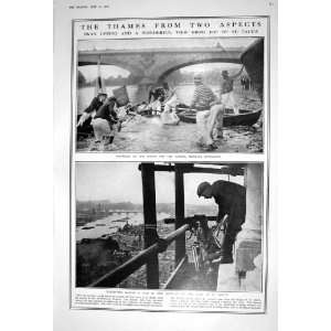  1922 SWAN UPPING RIVER THAMES CINEMA MAN ST. PAULS DEER 