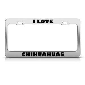 Love Chihuahuas Chihuahua Animal license plate frame Stainless