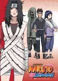 NARUTO Shippuden Wall Scroll Poster NEW Team 8 GE5262  