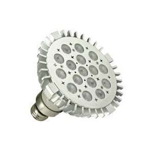  Halco 80670   PAR38/18WW/FL/LED Flood LED Light Bulb