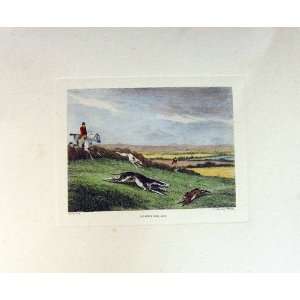    Hare Coursing *Bc Print By S Howitt H/C 1799