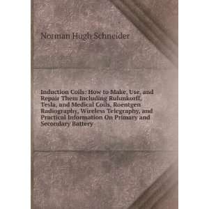   On Primary and Secondary Battery Norman Hugh Schneider Books