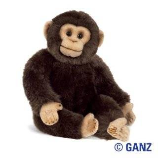 Webkinz Signature Smaller Size Chimpanzee September 2010 Release + 1 