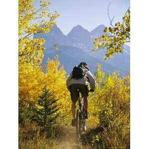  Cyclist Biking Through Trees with Autumn Foliage National 