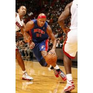   Pistons v Miami Heat Charlie Villanueva by Issac Baldizon, 48x72