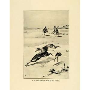  1906 Print Greyhound Dogs Hunting Rabbits Horses Western 