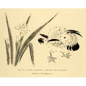  1883 Wood Engraving Mandarin Duck Iris Flower Josetsu 