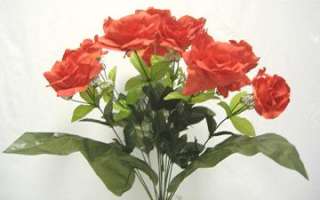 open rose bushes color coral you get 1 rose bush with
