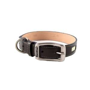  Manhattan Mocha Dog Collar   Small (13 17L x 1W) Kitchen 