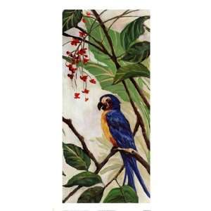   Tropical Parrots   Poster by Margaret Newsome (12x24)