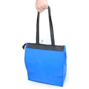  Alstar AJ236 BL Insulated Grocery Bag 15x13x8  Blue