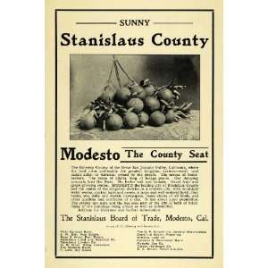  1906 Ad Stanislaus County Modesto California Realty 