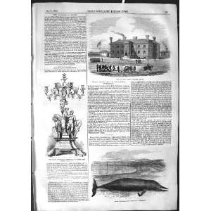   1855 Militia Barracks Ipswich Whale Cumberland Howden