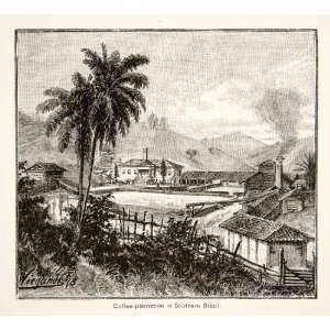 1879 Wood Engraving Entre Rios Bahia Brazilian Coffee 