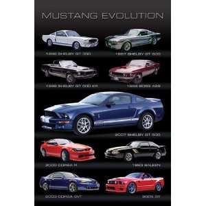  FORD MUSTANG EVOLUTION CLASSIC 24X36 POSTER #PP31001 