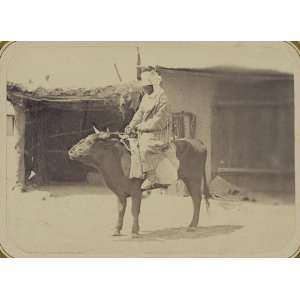  Central Asia,transportation,woman,ox,cattle,c1865