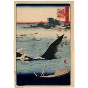  Japanese Print Hizen goto kujiraryo no zu. TITLE TRANSLATION Whale 