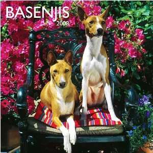  Basenjis 2008 Wall Calendar