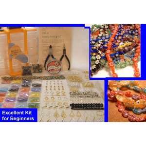  SUPER BEAD Kit with Tools   Organizer   Glass & Gemstone Beads 