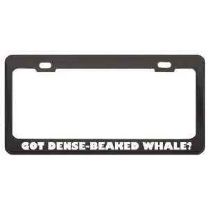 Got Dense Beaked Whale? Animals Pets Black Metal License Plate Frame 
