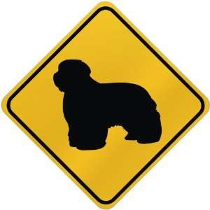    ONLY  BEARDED COLLIE  CROSSING SIGN DOG