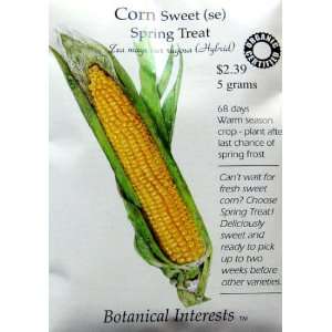    Organic Sweet Corn Seeds Spring Treat Patio, Lawn & Garden