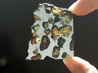 Beautiful Esquel Pallasite Meteorite Slice   15.4 grams  