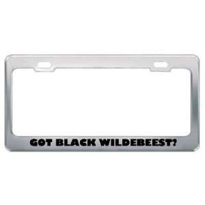 Got Black Wildebeest? Animals Pets Metal License Plate Frame Holder 