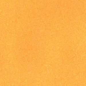  60 Wide Malden Mills Fleece Citrus Orange Fabric By The 