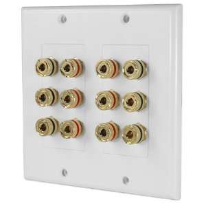  WP12 Terminal Decora Wall Plate 5.1 System Electronics