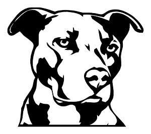 Pitbull Decal Pit Bull sticker dog JDM 4x4 MMA 10 BIG  