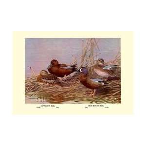  Cinnamon and Blue Winged Teals 12x18 Giclee on canvas 
