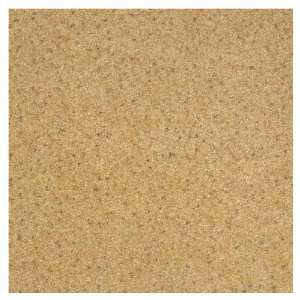  Milliken 19.7 Texture Carpet Tile 545029512919