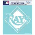 tampa bay rays decal  
