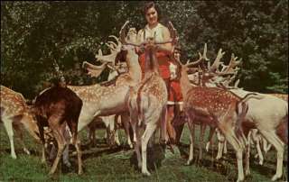 Catskill NY Game Farm Woman Feeding Deer Postcard  