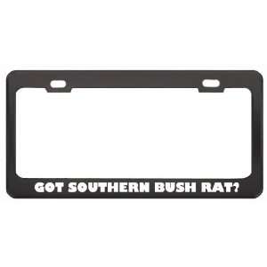 Got Southern Bush Rat? Animals Pets Black Metal License Plate Frame 