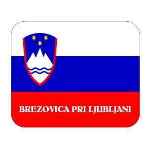  Slovenia, Brezovica pri Ljubljani Mouse Pad Everything 