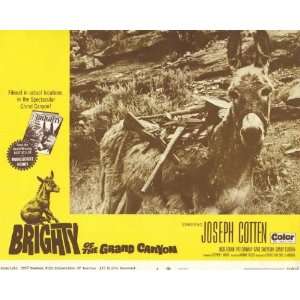  Brighty of the Grand Canyon   Movie Poster   11 x 17