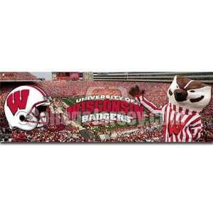  Wisconsin Badgers Tailgate Party Rug Memorabilia. Sports 
