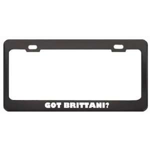 Got Brittani? Girl Name Black Metal License Plate Frame Holder Border 