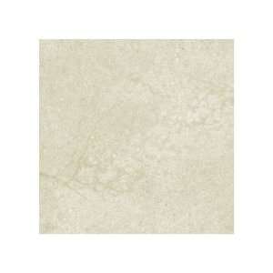  Choice 6 x 6 Porcelain Tile with Interlocking Tray in 
